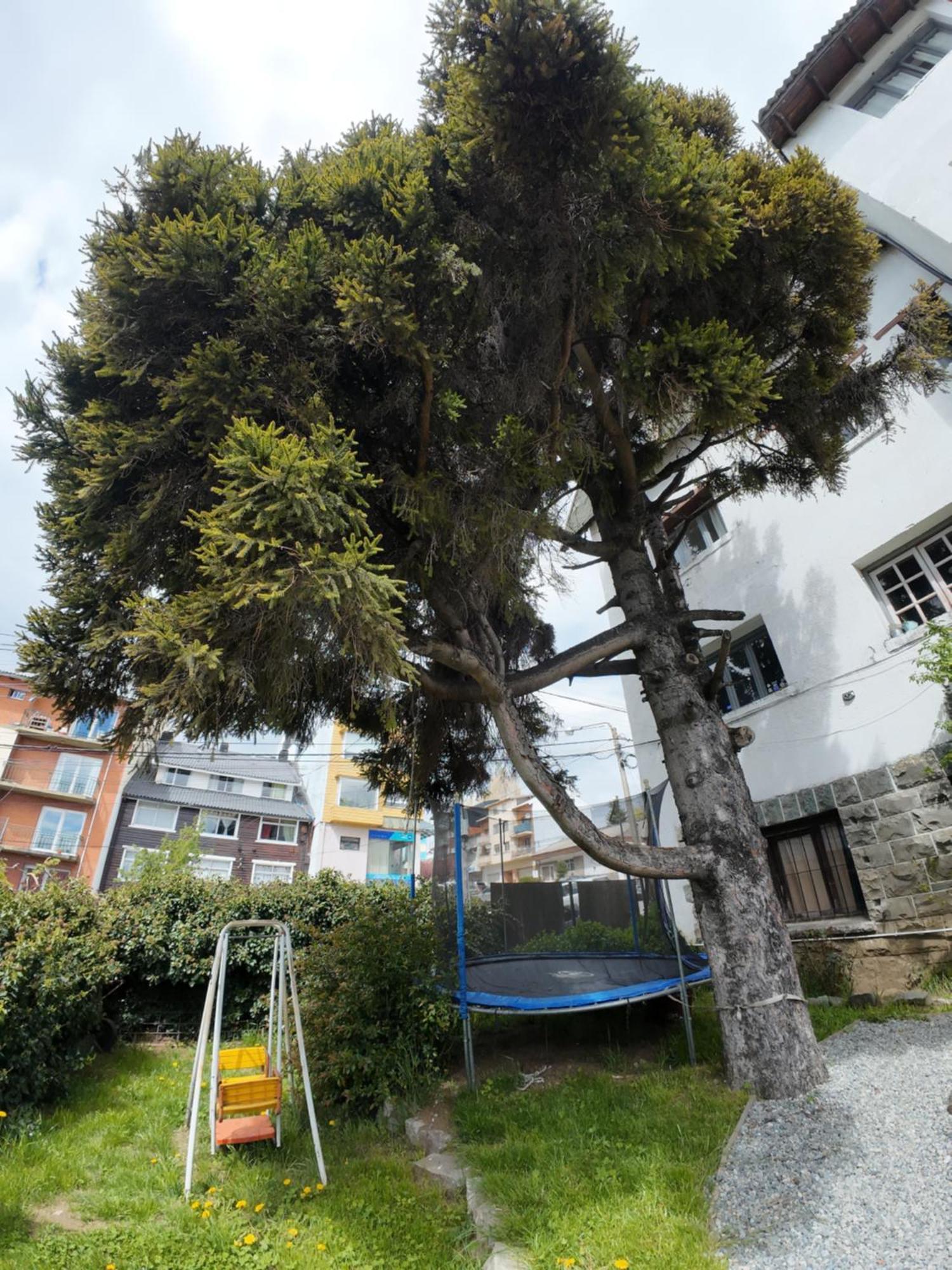Temiscira Hostel San Carlos de Bariloche Eksteriør billede