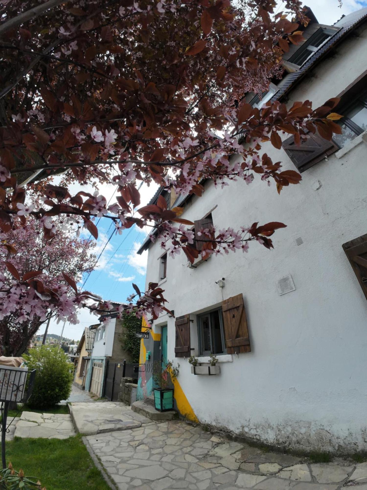 Temiscira Hostel San Carlos de Bariloche Eksteriør billede
