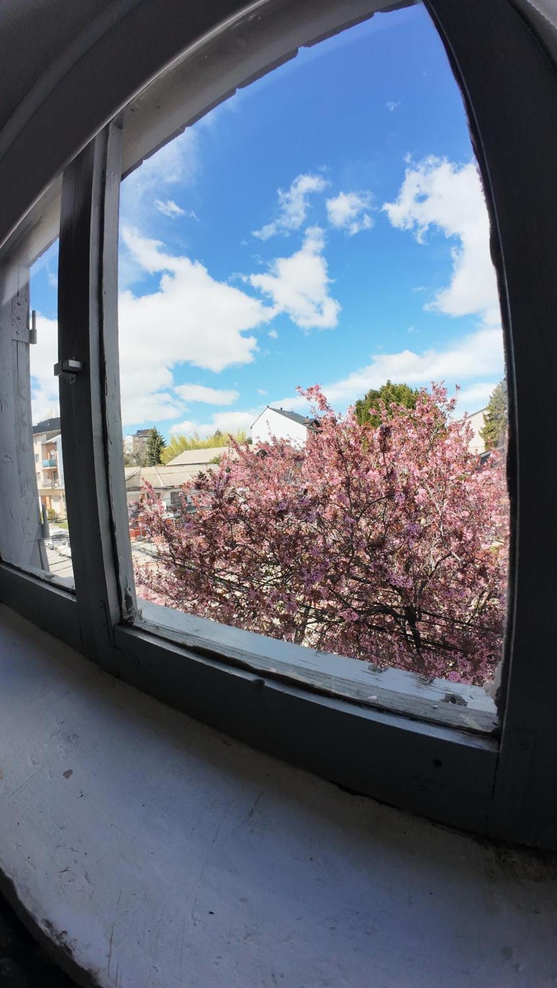 Temiscira Hostel San Carlos de Bariloche Eksteriør billede